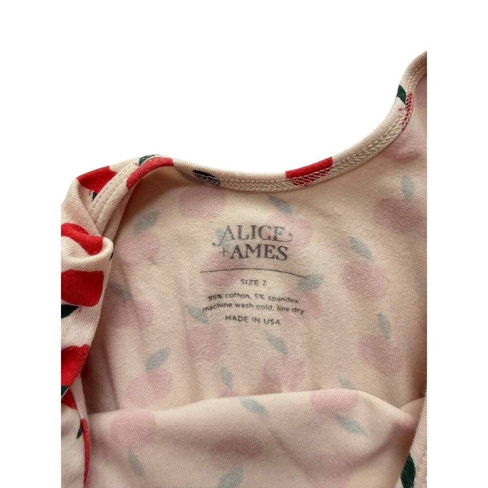 Alice + Ames Apple Ballet Dress Size 7 - Picture 4 of 6
